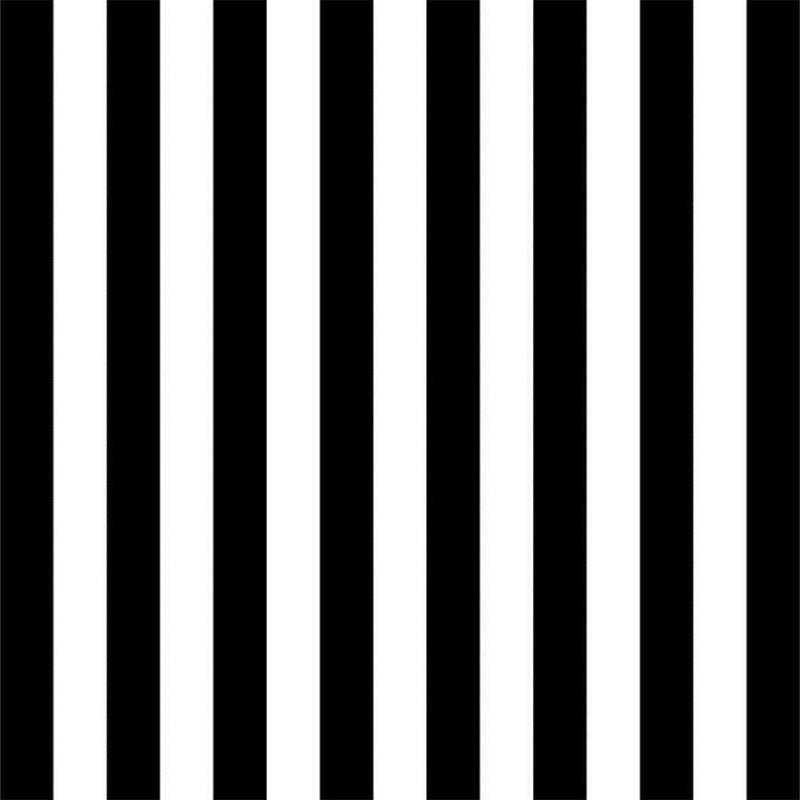 Laeacco 8x8ft Black and White Stripe Photo Backdrop Black Vertical Lines Striped Backdrops Birthday Party Banner Wedding Decoration Newborn Baby Shower Backdrop Children Kids Girls Photo Studio Props - Image 1